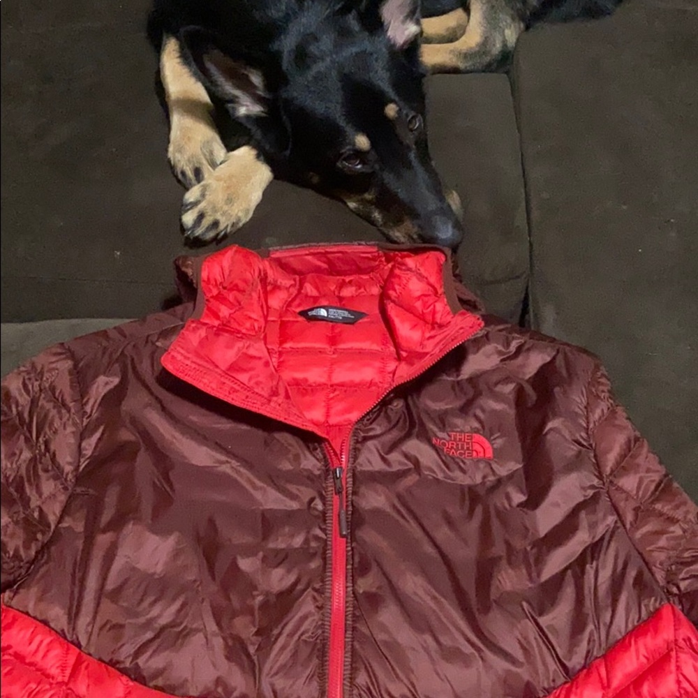 The North Face Jacket - Picture 7 of 8